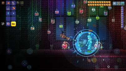 Terraria store still
